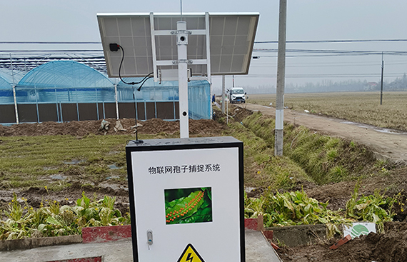 河北省石家庄市正定县五福农场