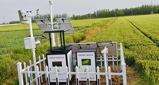 江苏省徐州市高标准项目