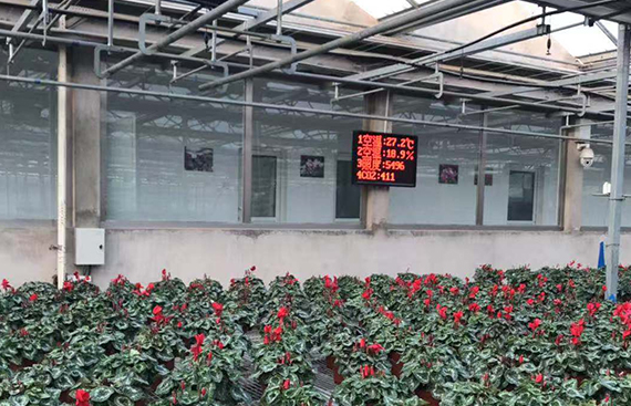 赤峰市和润温室环境监测与自动化控制