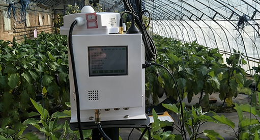 中国农科院温室环境及作物长势监测