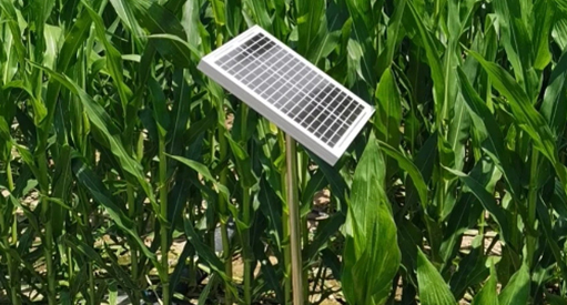 新疆玛纳斯管式墒情监测站