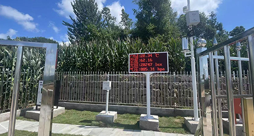 四川省田间病虫害监测项目