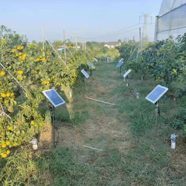 未标题-1 未标题-1