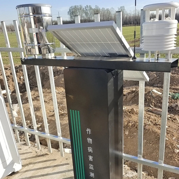 未标题-1 未标题-1