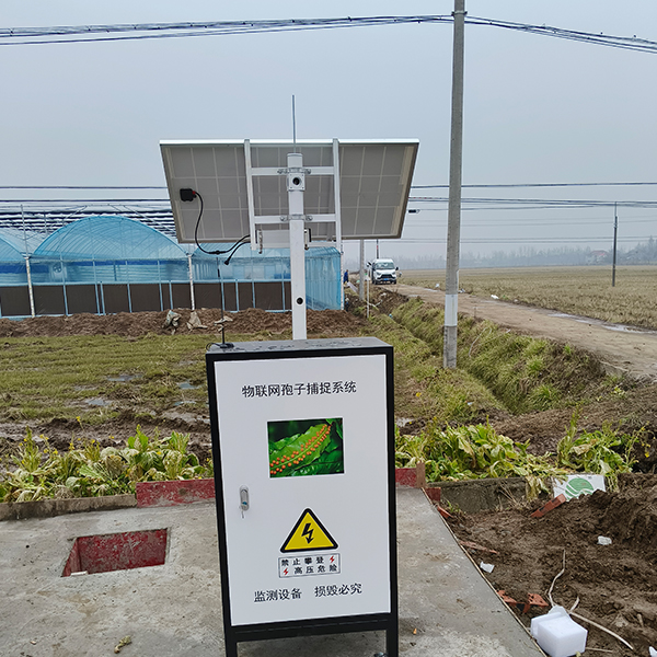 未标题-1 未标题-1