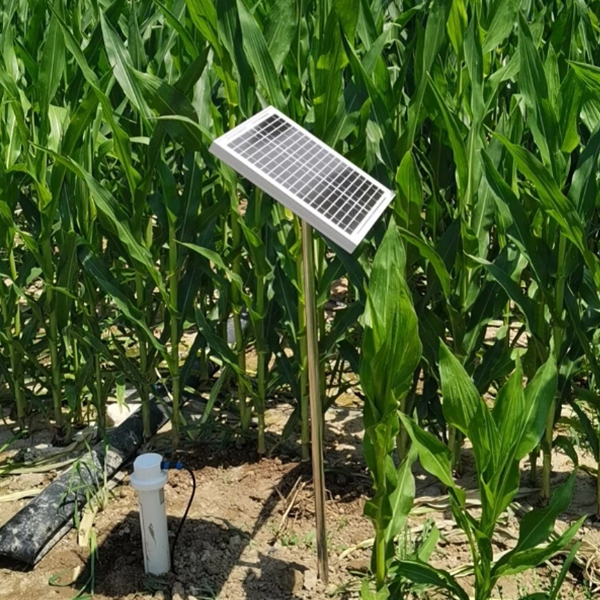 未标题-1 未标题-1