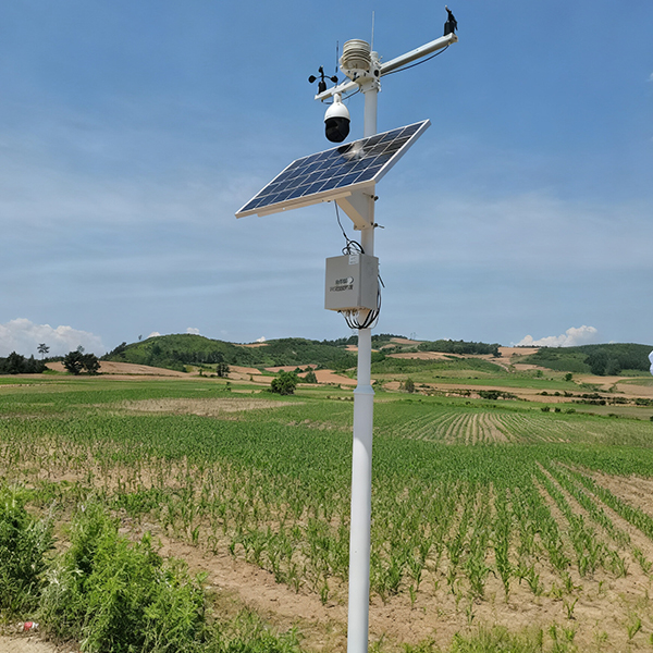 未标题-1 未标题-1