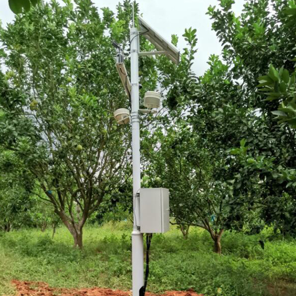 未标题-1 未标题-1