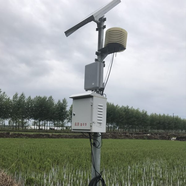 未标题-1 未标题-1