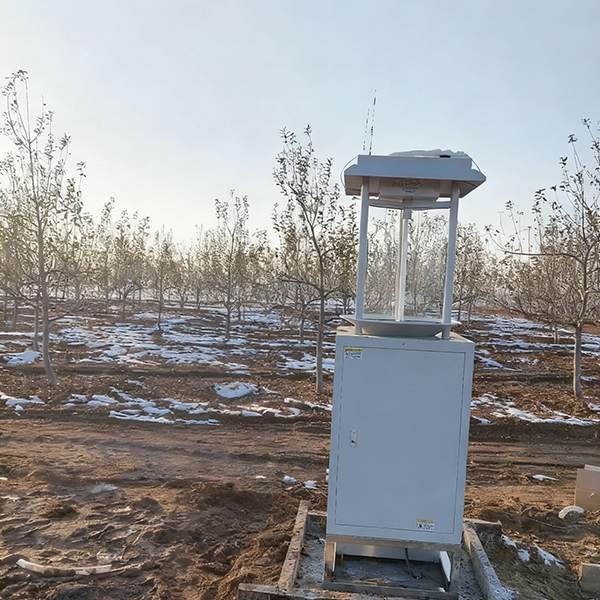 未标题-1 未标题-1