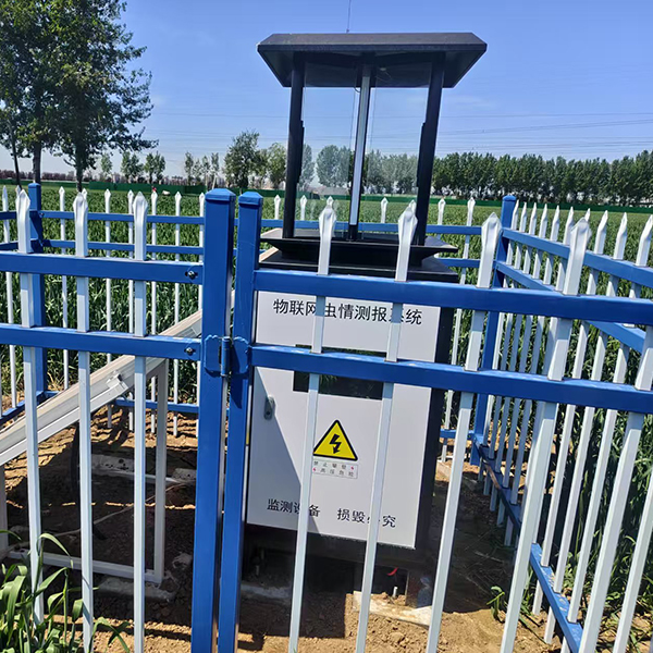 未标题-1 未标题-1