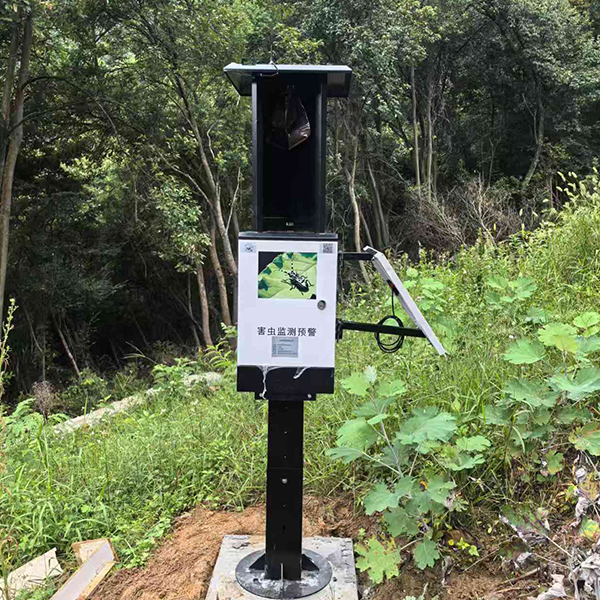 未标题-1 未标题-1