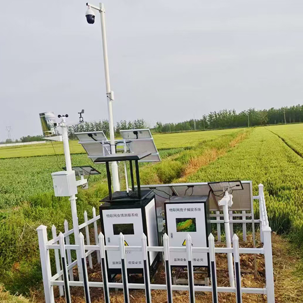 未标题-1 未标题-1