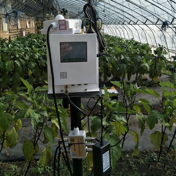 未标题-1 未标题-1