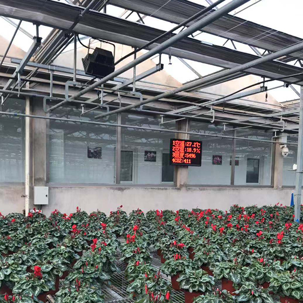 未标题-1 未标题-1