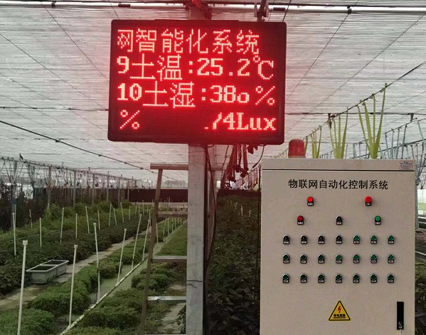 物联网温室自动控制系统图片3 物联网温室自动控制系统图片3