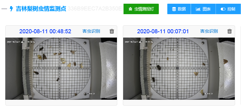 虫情测报系统平台远程拍照图片 虫情测报系统平台远程拍照图片