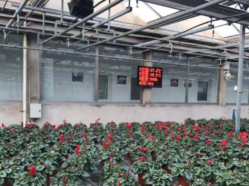 温室自动化控制系统现场安装图