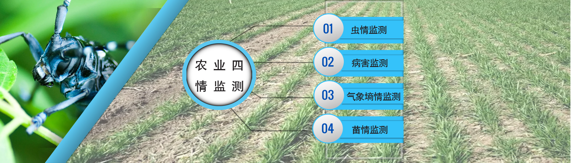 河北塔松电子科技有限公司