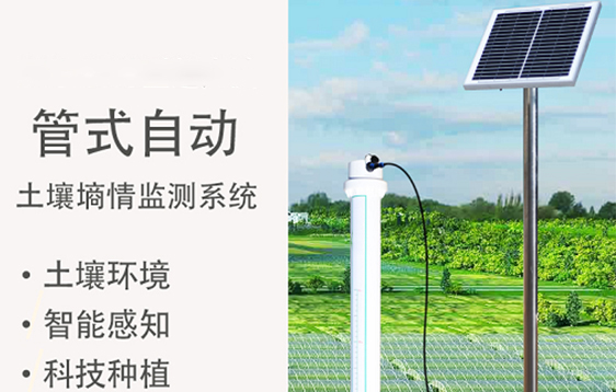 TS-GWS型超声波管式自动土壤墒情监测系统