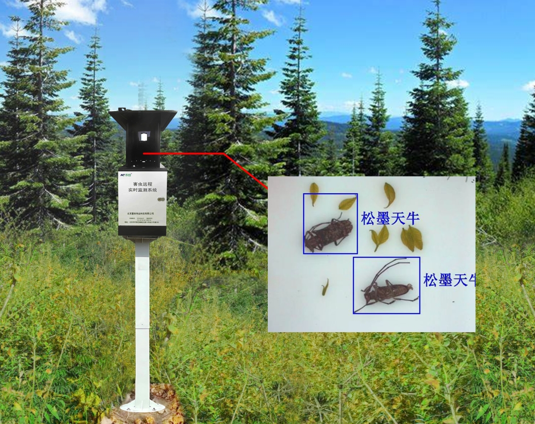 TS-HCTN型物联网天牛智能监测系统